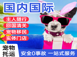 阿里昆莎航空运输国际宠物托运 【国